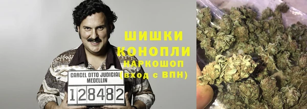 спиды Арсеньев