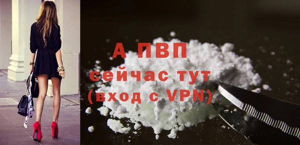 спиды Арсеньев