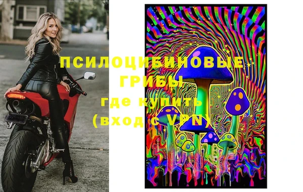 таблы Алзамай