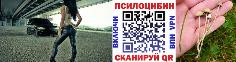 Псилоцибиновые грибы MAGIC MUSHROOMS  как найти закладки  Гаджиево 